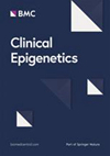 期刊影响因子2024/2025: Clinical Epigenetics CLIN EPIGENETICS ISSN:1868 7075